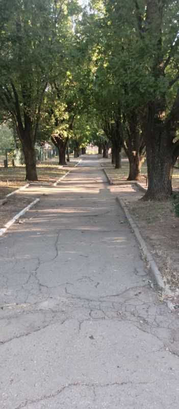 � ������ �����, � ����������� ����!