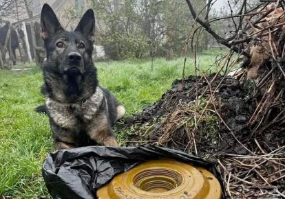 � ����������� ���� � �������� ������ ����� ��������������� ����