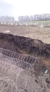 На Запорожском направлении ВСУ строят дополнительные линии обороны: роют рвы, устанавливают «зубы дракона» и огораживаются колючей проволокой