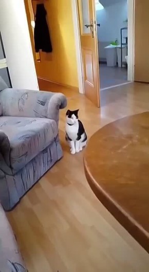 Утро вторника. Когда проспал и опаздываешь на работу