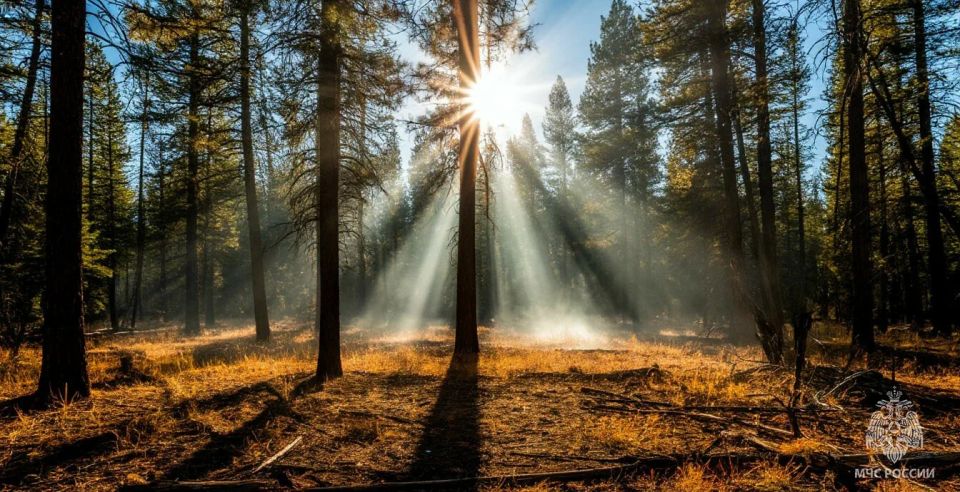 ���������� �������������� � ������� ���������������