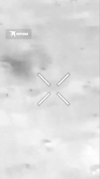 Три тяжелых дрона ВСУ сбили в Запорожской области таранами и бомбами