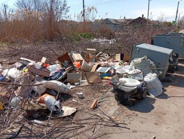 Улица Чернышевского в Бердянске – лидер по стихийным свалкам