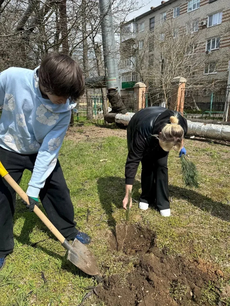 Акция «НАШЕ КЛАССНОЕ ДЕРЕВО»: озеленяем будущее вместе! Акция «НАШЕ КЛАССНОЕ ДЕРЕВО»: озеленяем будущее вместе!