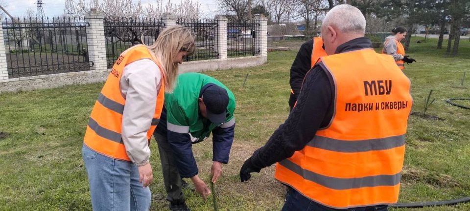 � ���������� ������������� ������ � ������ ������ ��������� ����������� ������ ������ ���������� ���������� ������������ �� ��������� ����������� ������� � ��������������� ���������� �������