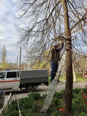 ���� �� ���������� ������� ������� ���� �� ��������������� � ���������� � ����������� ������������� ������� � 9 ���