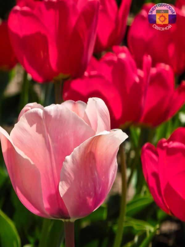 ������ ����! ������ ������ ��� ������, ���� � ������ ������ �������� ��������