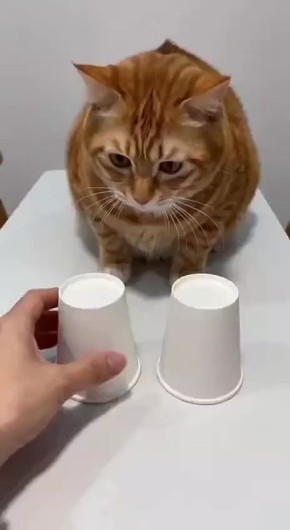 ��� � �����. ������� � ��������� ��������