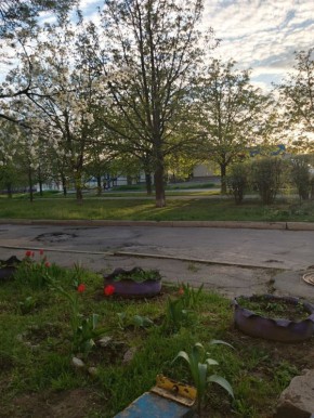 � ������ �����, � ����������� ����!