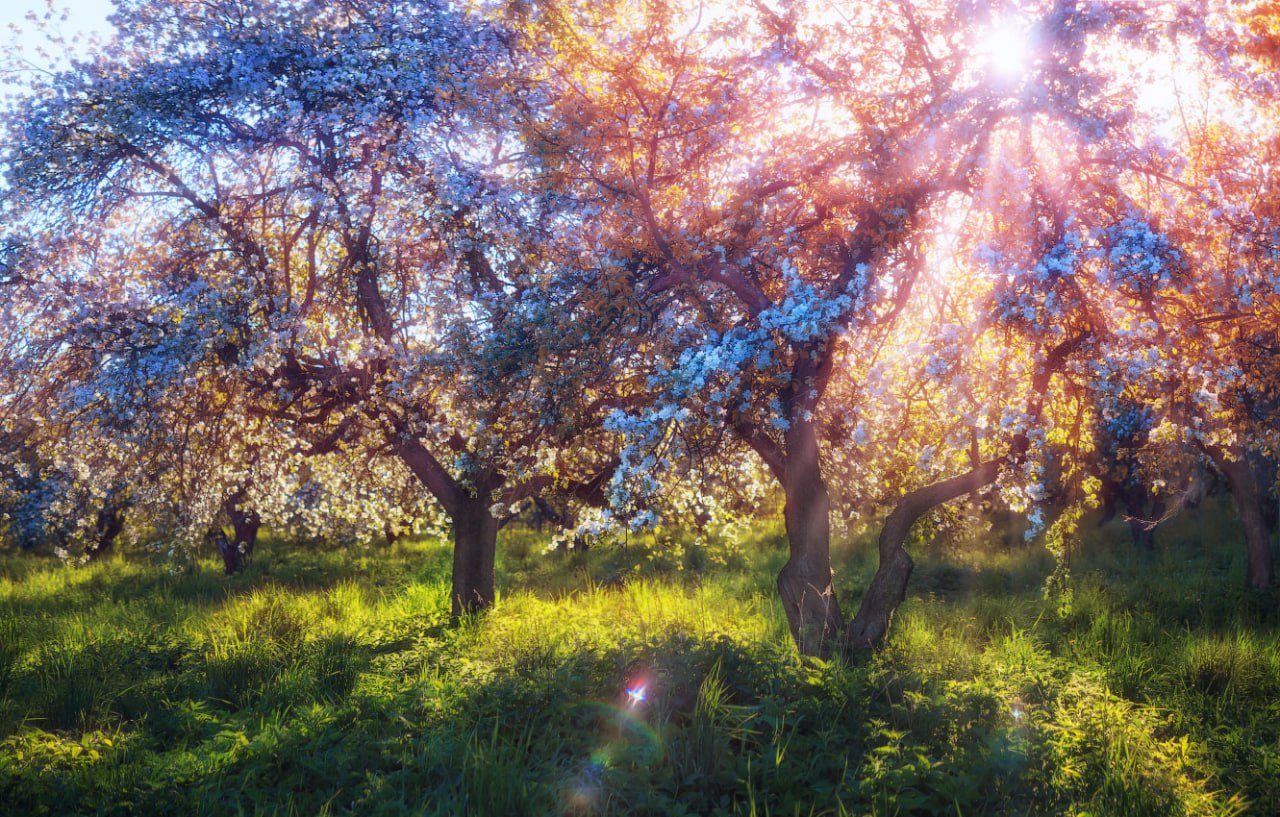 Доброе утро. А вы знали, что сегодня