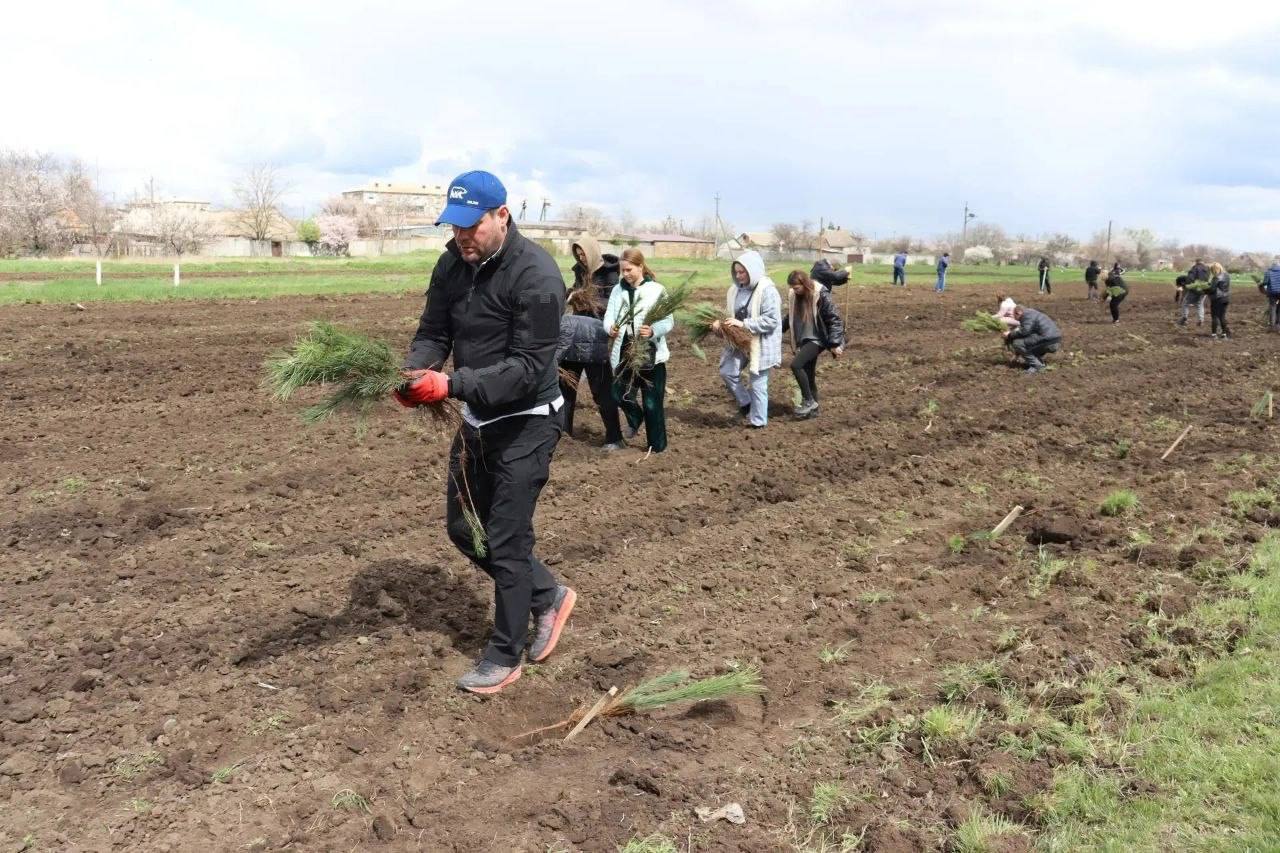 Алёна Трокай: Озеленение территории Весёловского муниципального округа Алёна Трокай: Озеленение территории Весёловского муниципального округа
