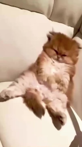 ��� � �����. ����������� � ������ � ������� �����