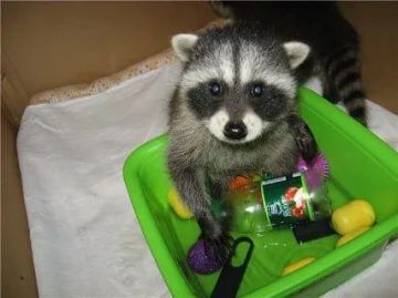 ������ ����, ������! �������� ��� ��� � ��������� ����������!