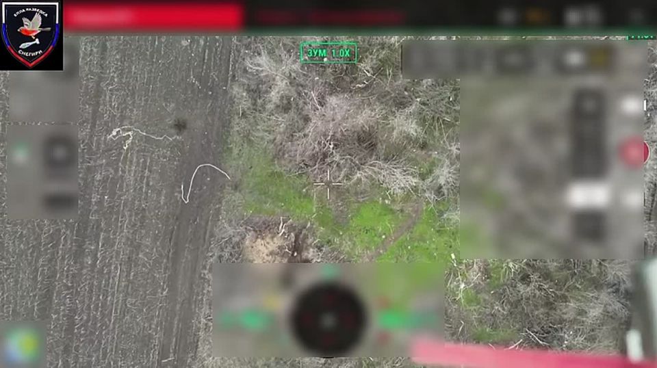 ����� ����-������ � ������������ �����������