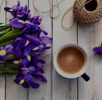 � ������ ����� ������������