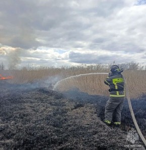 ����������� ���������� �� �����