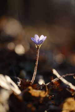 � ������ �����!