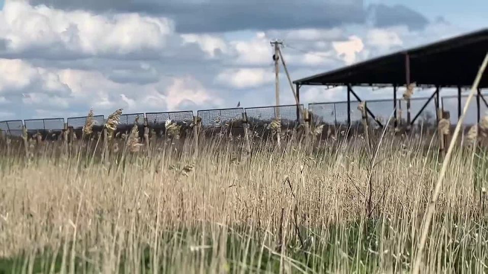 ������ ����!. �����, 15 ������ 2026 �. �������� ���� � ������� ������ � �������� ��������! ������� ������ �� �������: