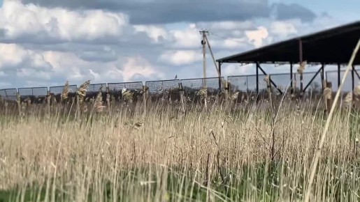 ������ ����!. �����, 15 ������ 2026 �. �������� ���� � ������� ������ � �������� ��������! ������� ������ �� �������: