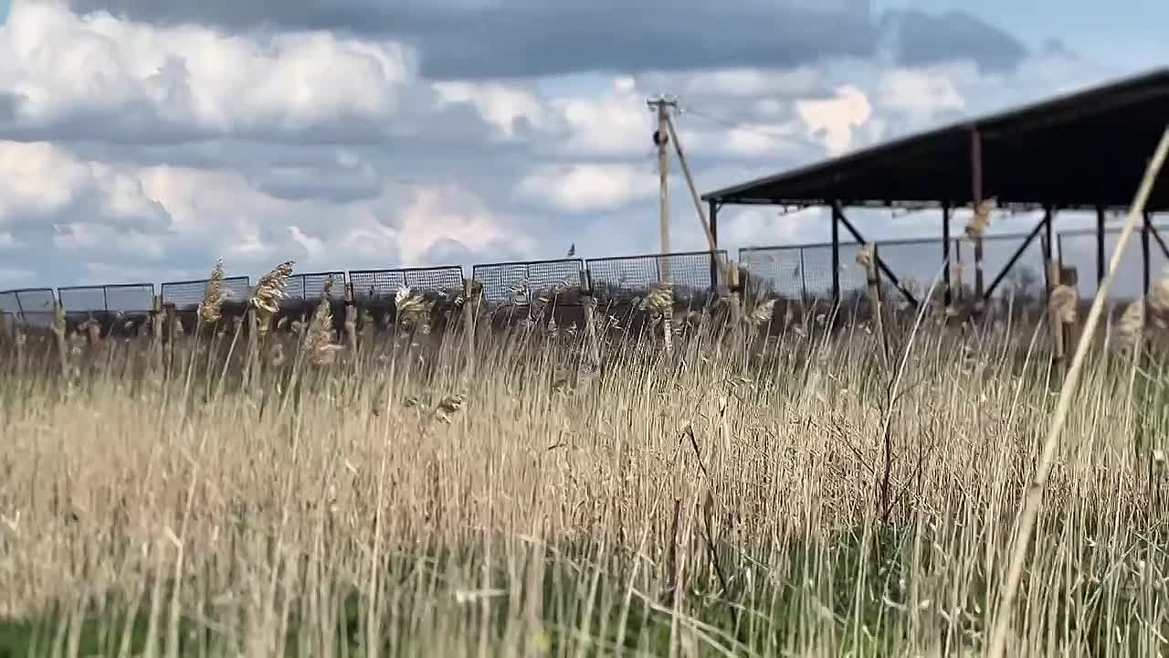 Доброе утро!. Среда, 15 апреля 2026 г. Начинаем день с шелеста камыша и весенней свежести! Прогноз погоды на сегодня: