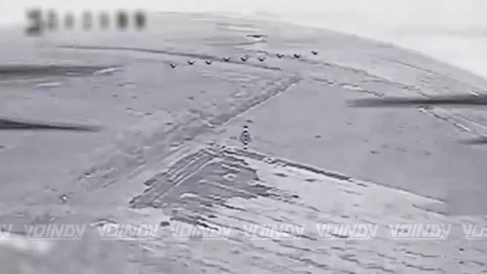 ��������� ���� 14 ����������� ������� �������� ����������� ����� "������" ���������� ���������� ������� ������� �����, ����������� �������