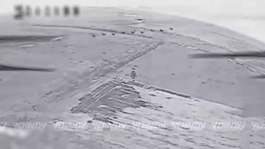 ��������� ���� 14 ����������� ������� �������� ����������� ����� "������" ���������� ���������� ������� ������� �����, ����������� �������