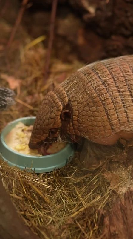 �������, ����, ������. ������������ ���������� ���� ����� ���� ������ �����