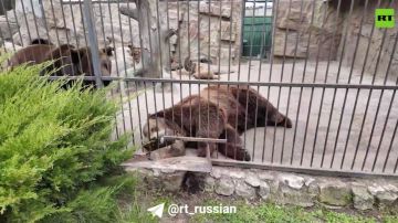 ��� ������� �������� ������� � ����������?