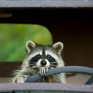 Доброе утро, друзья! Хорошего вам дня и отличного настроения!