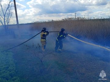 ����������� ���������� �� �����