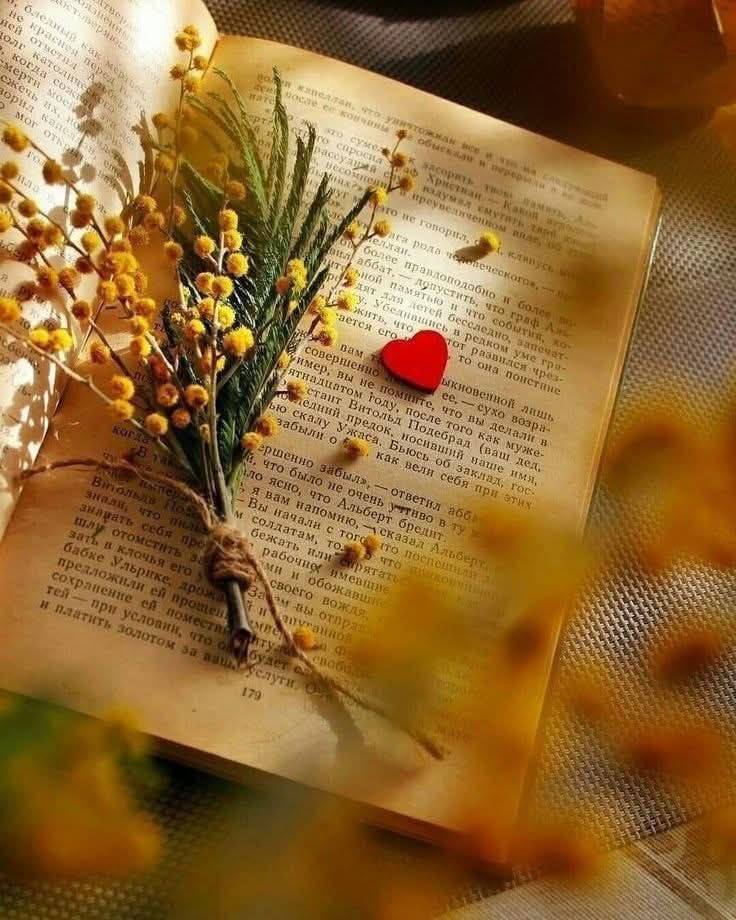 Всё самое лучшее происходит тогда, когда вы перестаёте ждать и начинаете жить