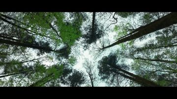 Запорожская область присоединилась к реализации национального проекта «Экологическое благополучие», направленного на развитие особо охраняемых природных территорий и экологического туризма