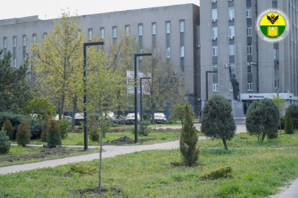 ������ ��������: ���������� ����������� ������ �� ��������������� ������������ ����������� ������ ������