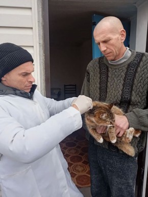 ���������� ���������� �������� �������������� ���������