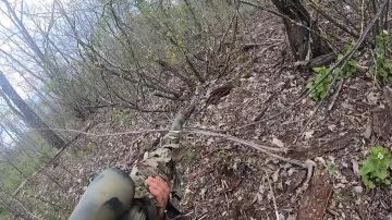 ������� ���������: ������� � ������ ��������� ����������� ����� "������", ��� ��������� ������ �� ����������� �����������