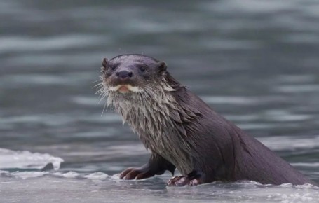 � �������� � ������ ����� ������� �� 16 ��� ����������� ������������� �����