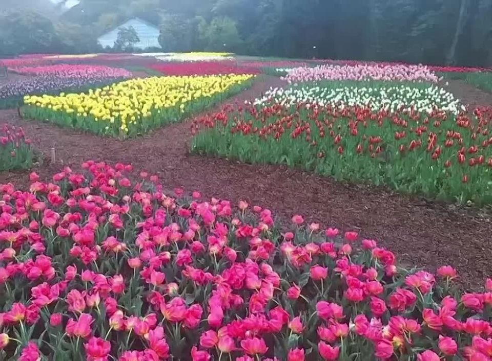 � ��������� ������������ ���� � ����� ������ ����� ���������