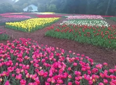 � ��������� ������������ ���� � ����� ������ ����� ���������