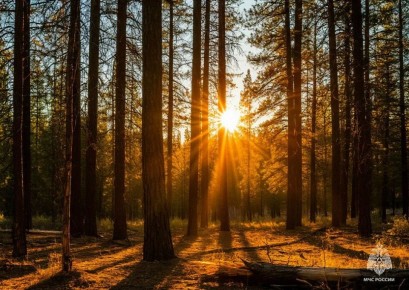 �������������� � ������� ���������������