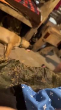 Доброе утро четверга, Запорожская область!