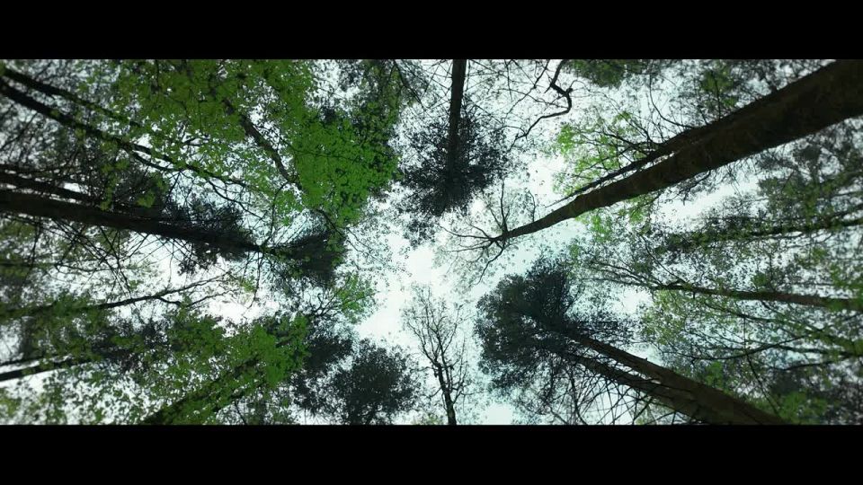 ����������� ������� �������������� � ���������� ������������� ������� �������������� ������������, ������������� �� �������� ����� ���������� ��������� ���������� � �������������� �������