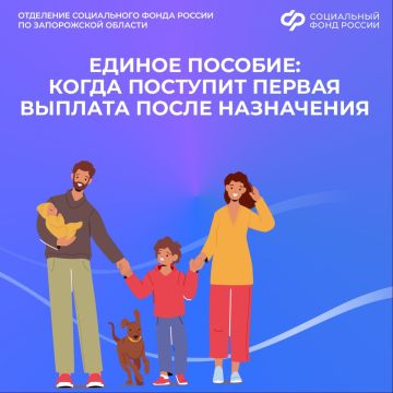 Когда поступит первая выплата после назначения единого пособия