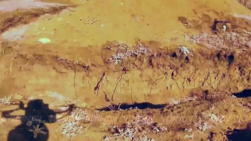 ��������� ��������� ���, ������������ ����������� 38 ����������� ������� 35 ����� ����������� ����� "������" � ����������� �������