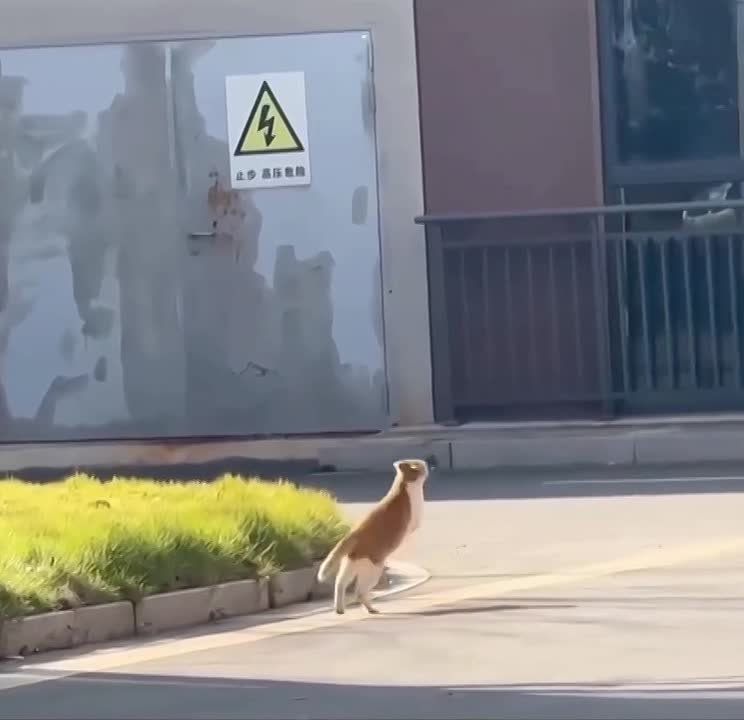 ���� ��������. � ������� ����������� ���� �� ������