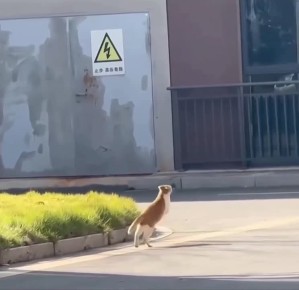 ���� ��������. � ������� ����������� ���� �� ������