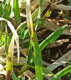 ��� ����� ����� � �������� ������ ����� ������