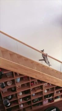 ���, �������. ����������� � ������ �� ������