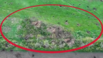 ���������� ������� ������ ���������� ��������� ���� � ����������� �������