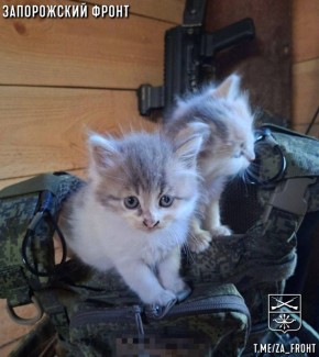 ���� ������� ���� � ������������ �����������