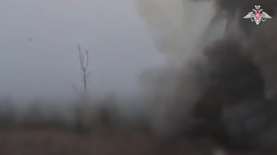 ������� ���� �������� 61-� ����������� ������� ������� ������ ����������� ������ ������� ������� ������������� ���